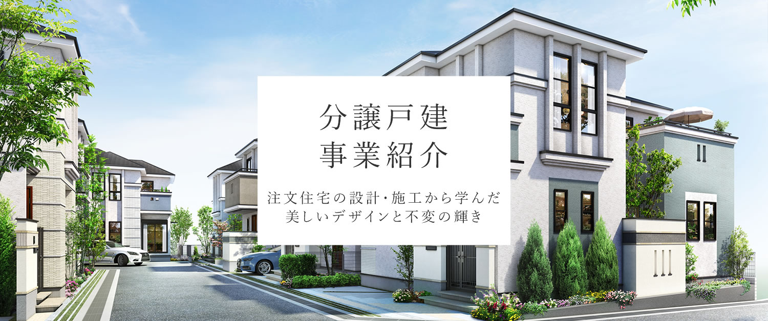 分譲戸建 事業紹介 注文住宅の設計・施工から学んだ美しいデザインと不変の輝き