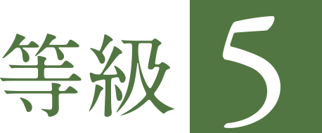 等級5