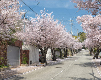 現地周辺の街並み（約80～150m）