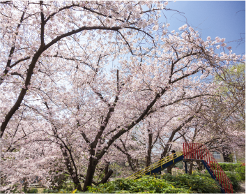 豊楽公園（約90～160m）