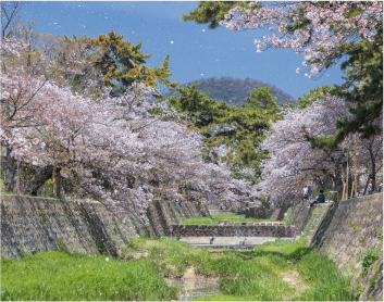 夙川公園（約970～1,030m）