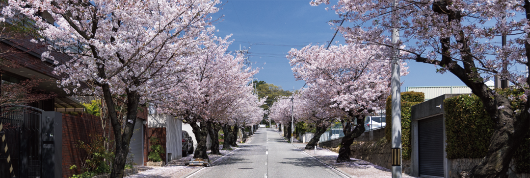 現地周辺の街並み（約80～150m）