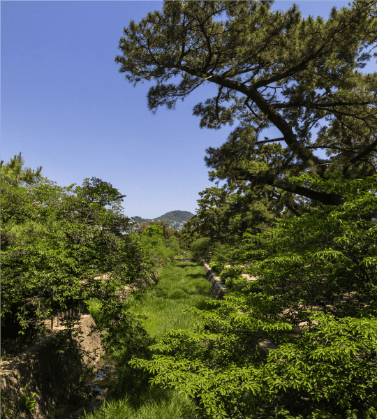 夙川公園（約930m）