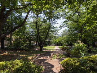 豊楽公園